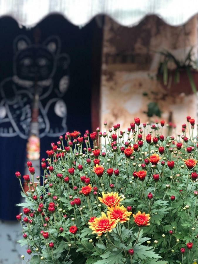 Lijiang Jayden Lodge臣安山居民宿 - Namaste Экстерьер фото